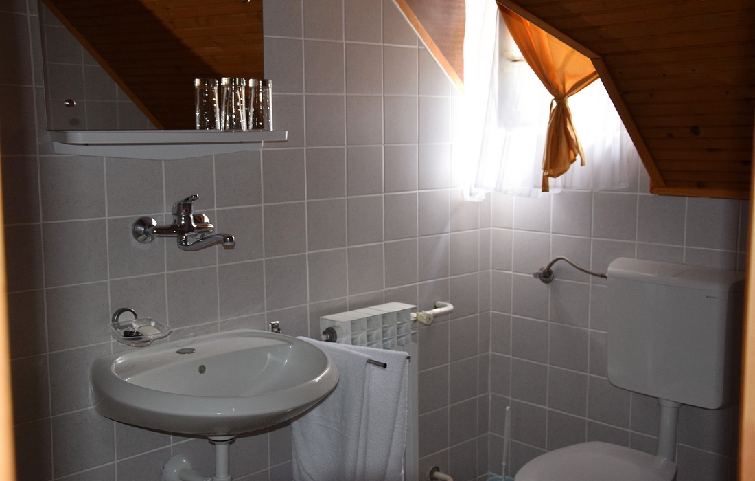 Bathroom in mountain lodge Jankovac 
